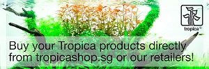 Tropica Shop Banner