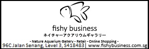 Fishy Business Banner